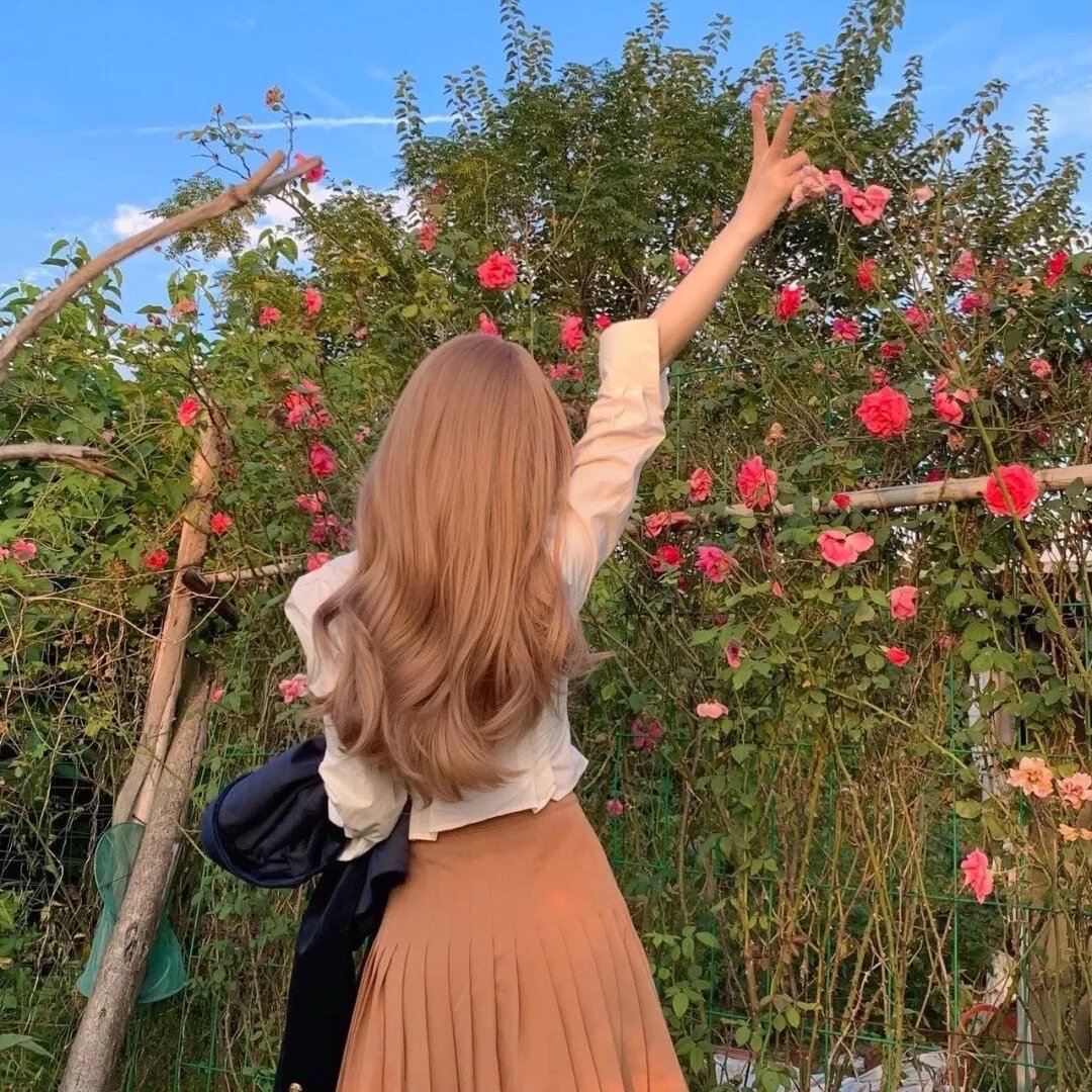 星际5555：异星梦系统秘传