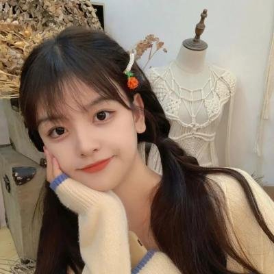 审理 (日本电影)